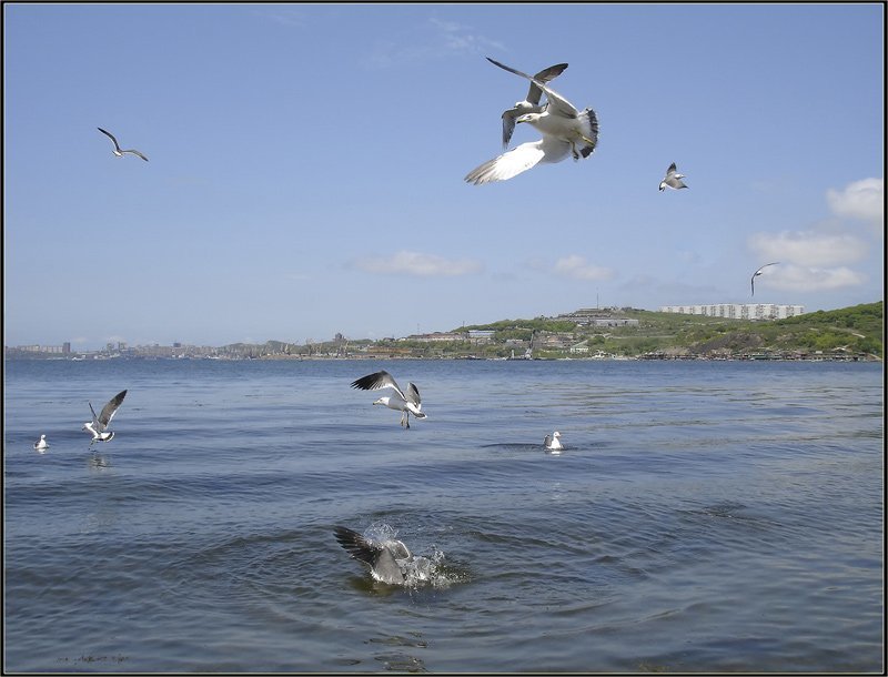 Лето-пришлоphoto preview