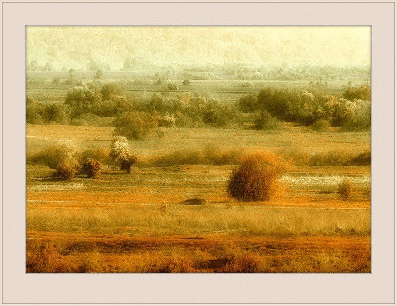 природа, томская, область Ржавое настроение...photo preview