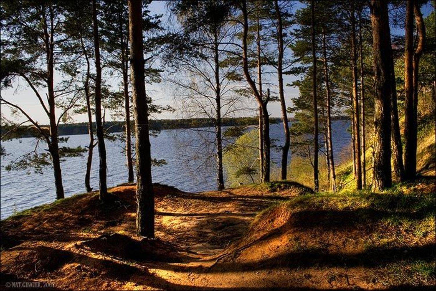 Лес. Вода. Автор: Ginger лес, вода, солнце, Ginger