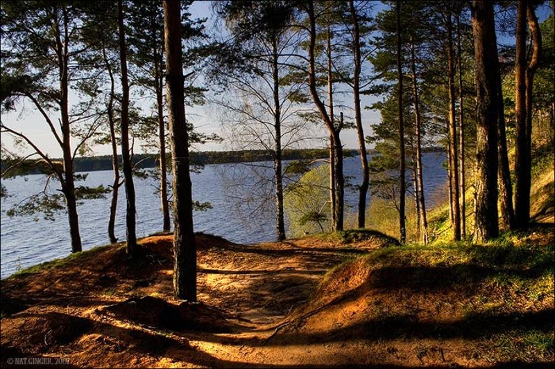 лес, вода, солнце Лес. Водаphoto preview