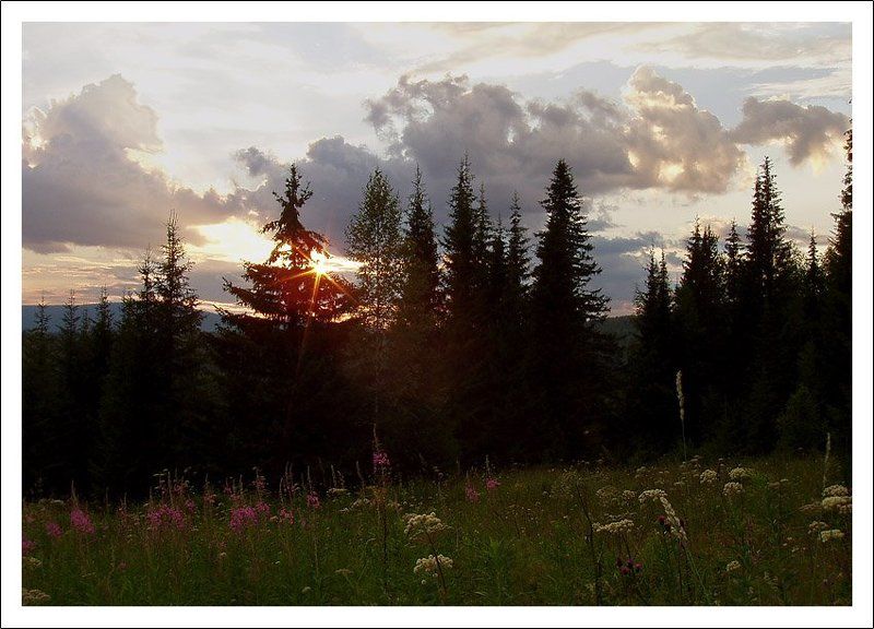 северный урал, пермский край, кутим, вечер, лето Таежный вечерphoto preview