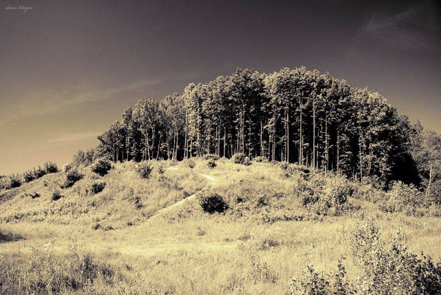 , Денис Клюев