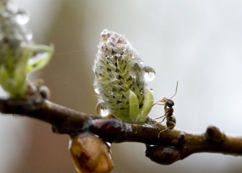 пора на работу!!! Пора на работу!!!photo preview