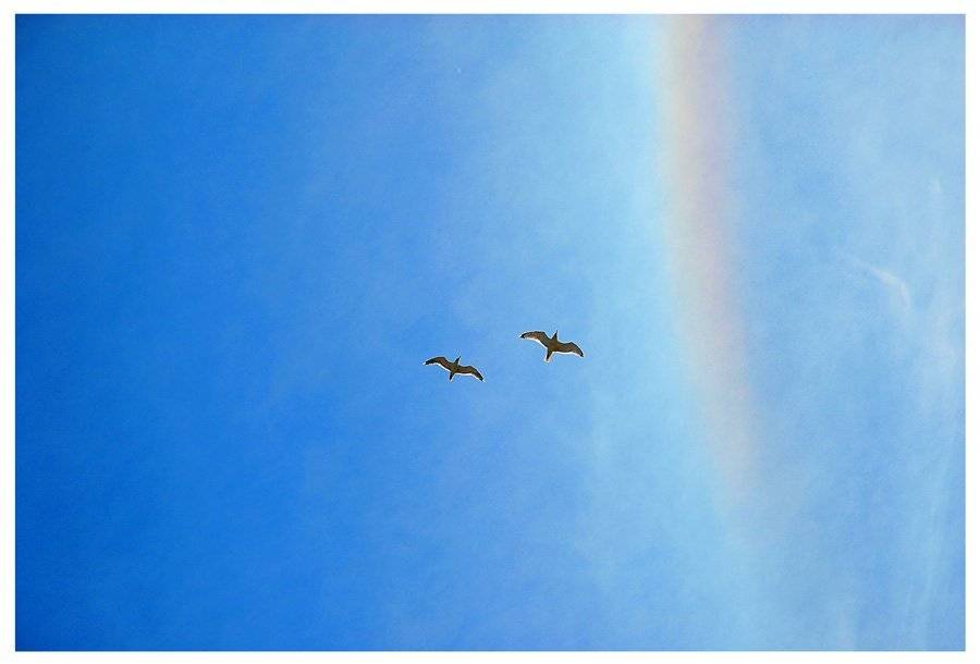 Learning to Fly. Автор: Jagger полетели?..., Jagger