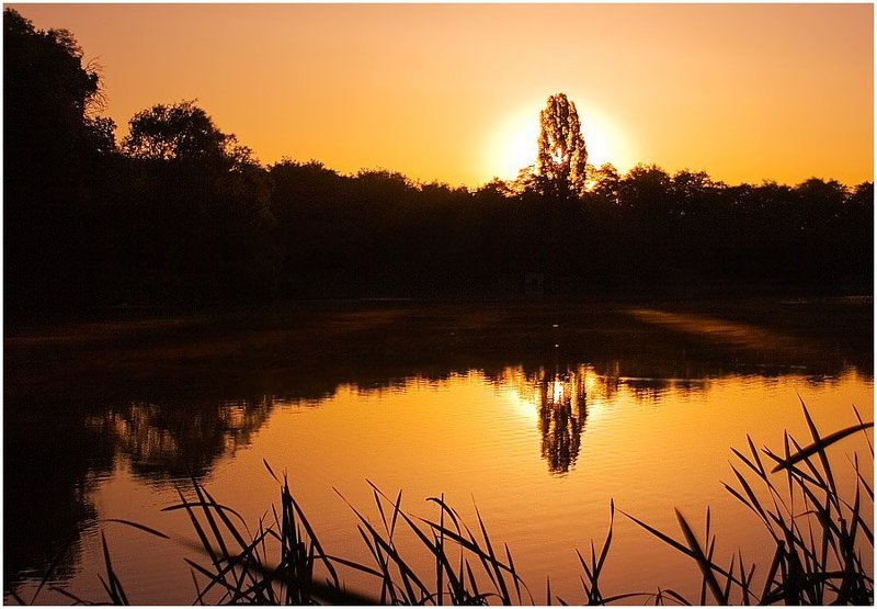 Игра восходящего солнца фото превью