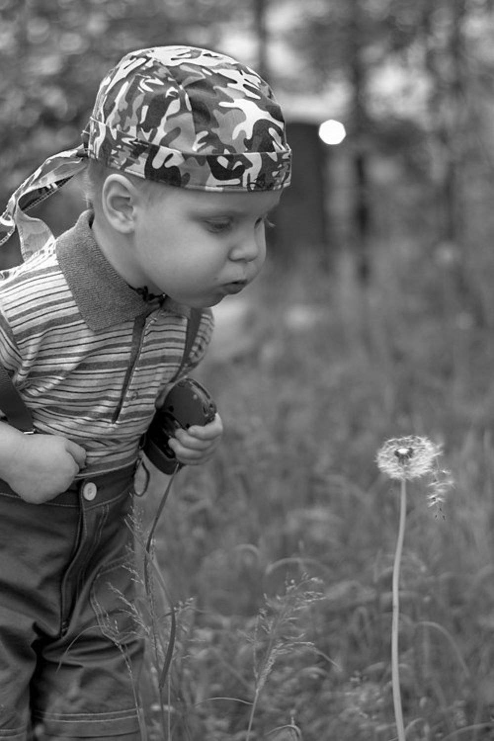 Пушистый? Щас исправим!. Автор: Dankost ребёнок, мальчик, одуванчик, Dankost