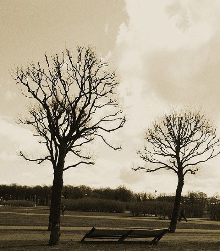 петербург, марсово поле, весна Косая как моя жизньphoto preview