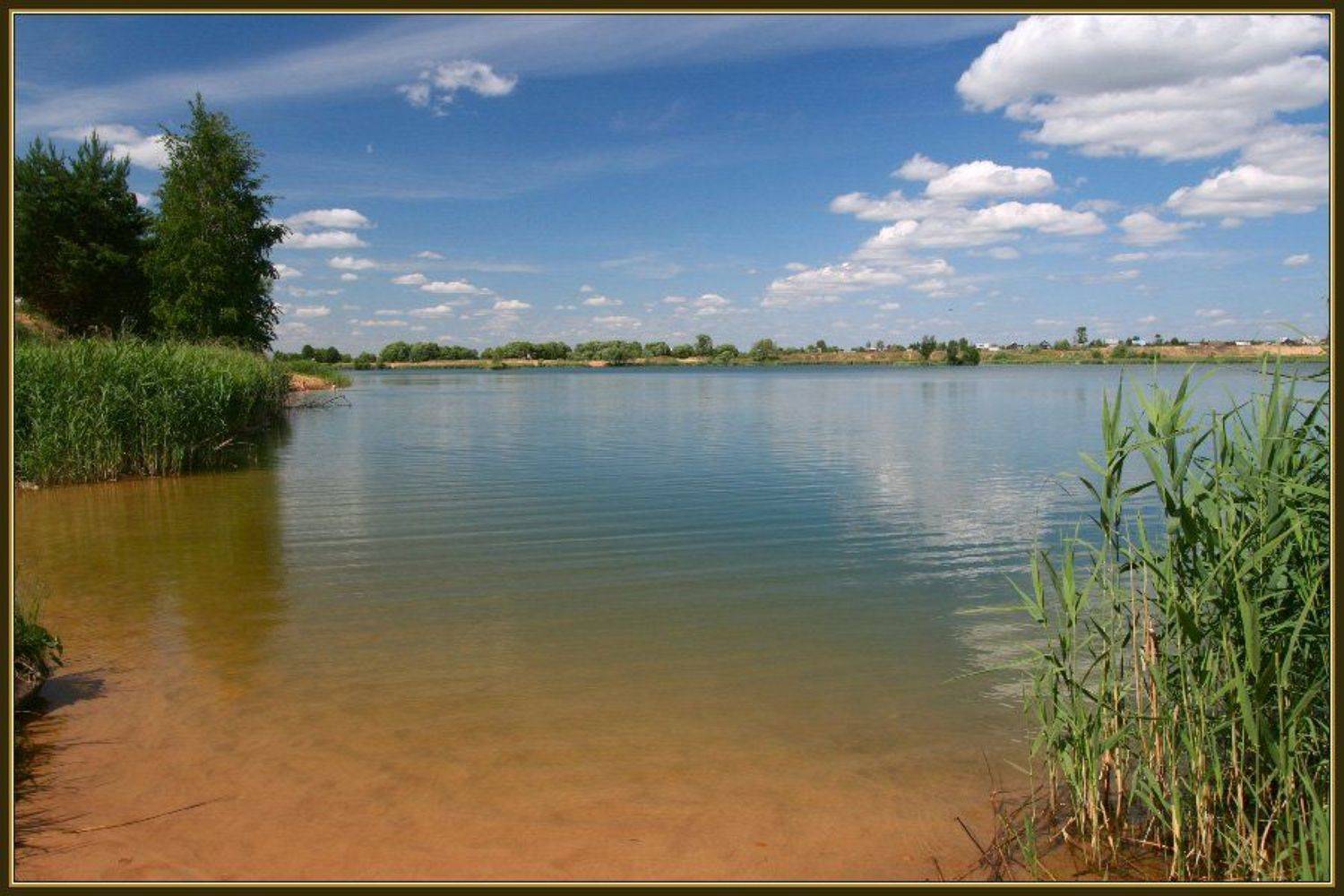 ***. Автор: Георгий , Георгий