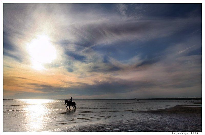 Купание коня в заливеphoto preview