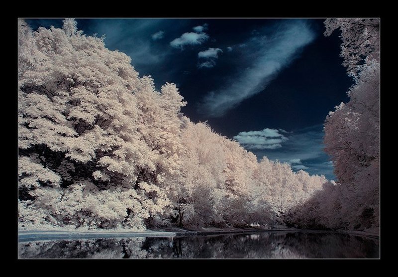 ик, infra red, инфракрасная съемка VICTIMAS SILENTIUM фото превью