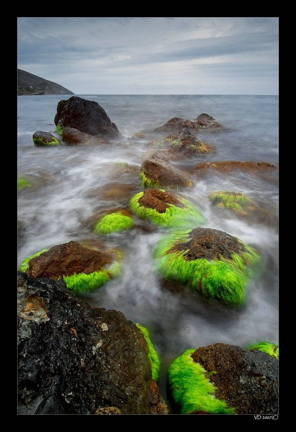 , Виктор Державин