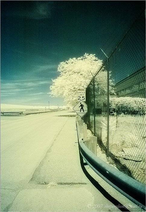 ик, пейзаж, infrared, инфракрасный, Pilgrim