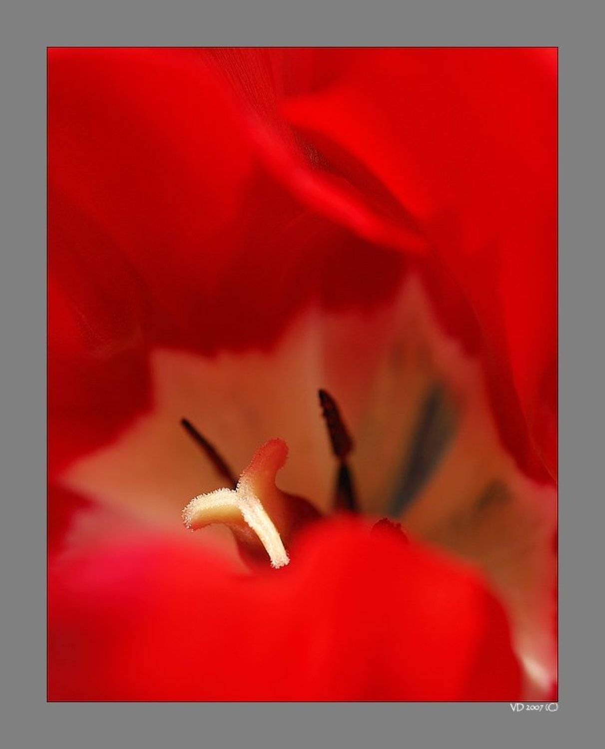 , Виктор Державин