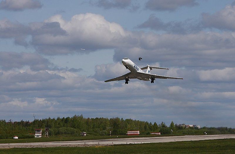 самолет птицы аэропорт Три птички... фото превью