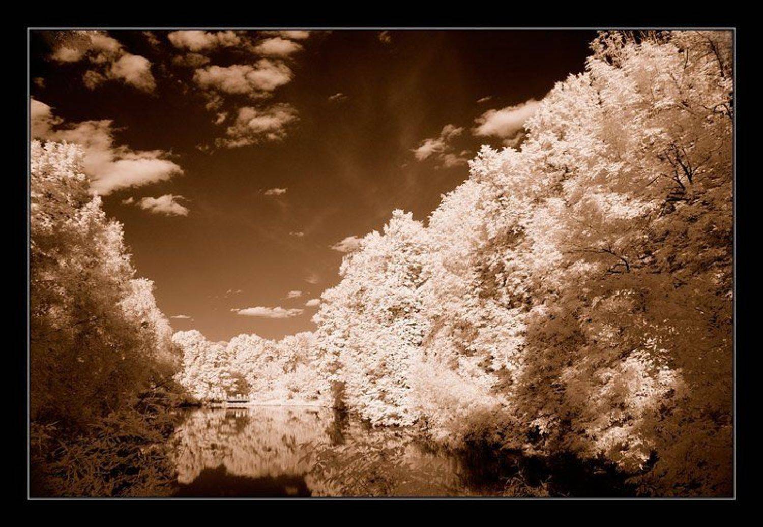 ик, infra red, инфракрасная съемка, Капустин Николай