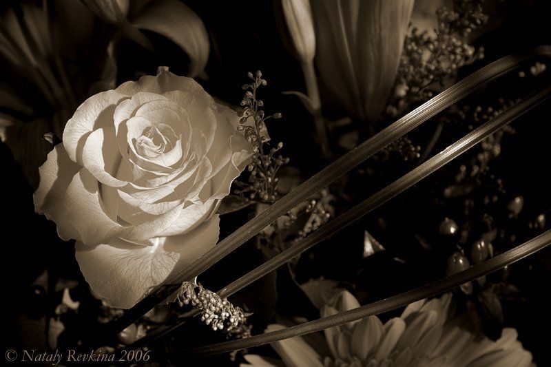 натюрморт,цветы,музыка Музыкальный...photo preview