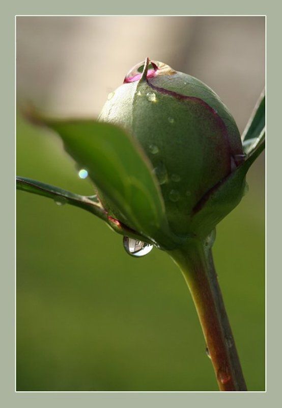 После дождя фото превью