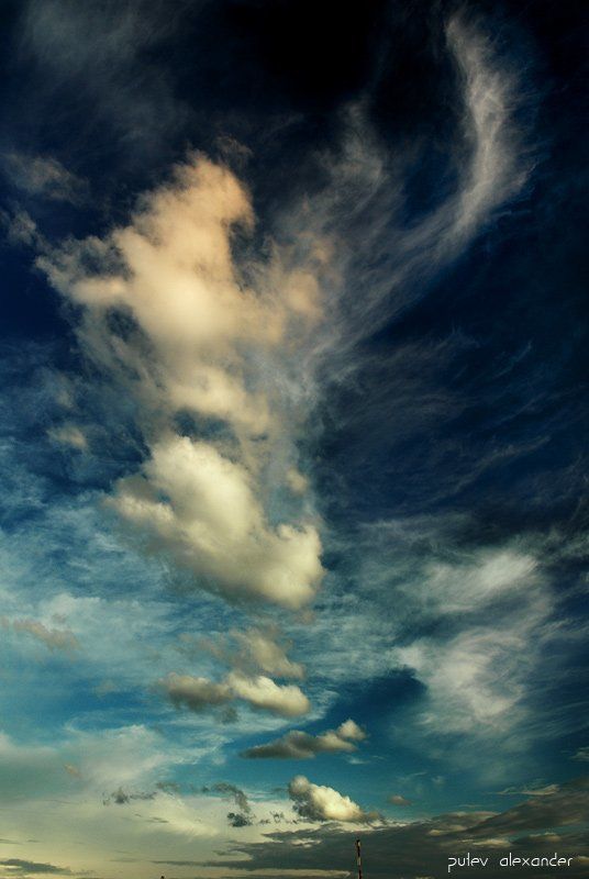 облака,москва,сзао Гордый птиц.... фото превью