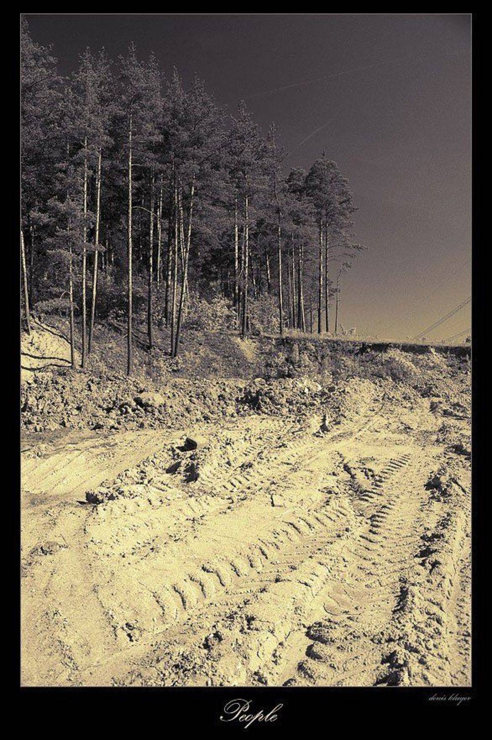 ромашково, денис клюев, Денис Клюев