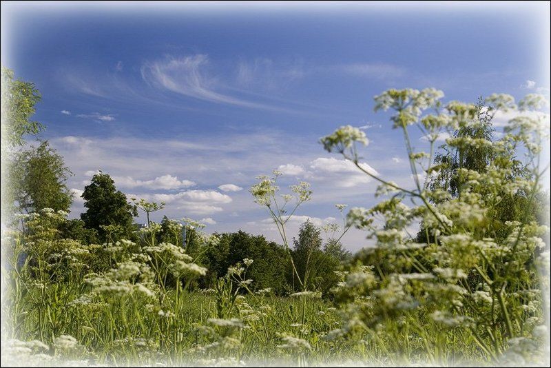 яуза Подглядывая за облаками...photo preview