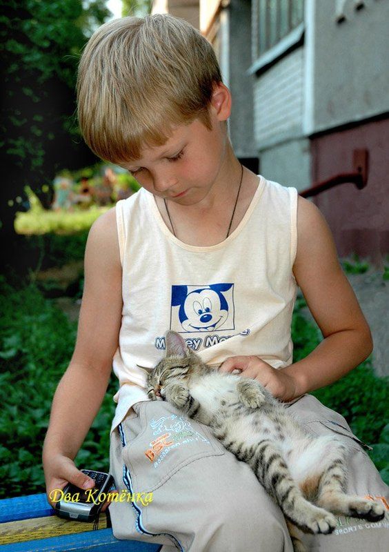 мальчик, котёнок, абсолютное доверие ДВА КОТЁНКАphoto preview