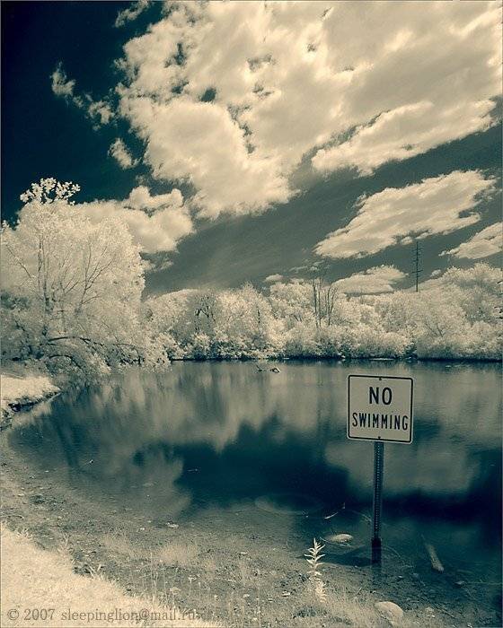 ик, пейзаж, infrared, инфракрасный, инфракрасное, Pilgrim