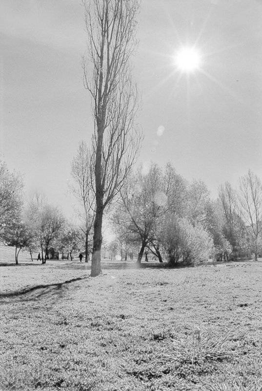 ***. Автор: kovas , kovas