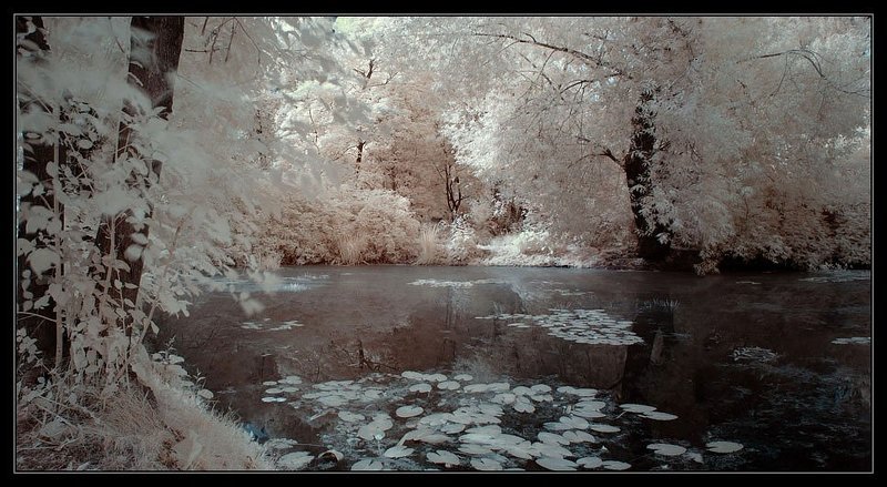 инфра, ик, infra red *** фото превью