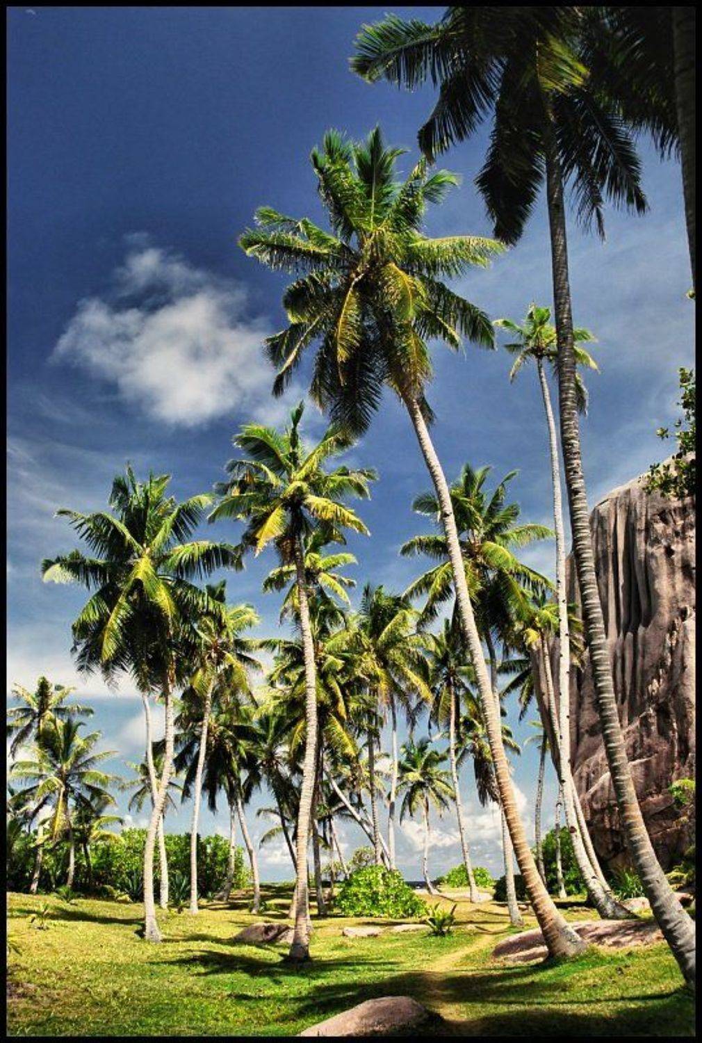 сейшельские острова, Cairns (Павел Васильев)