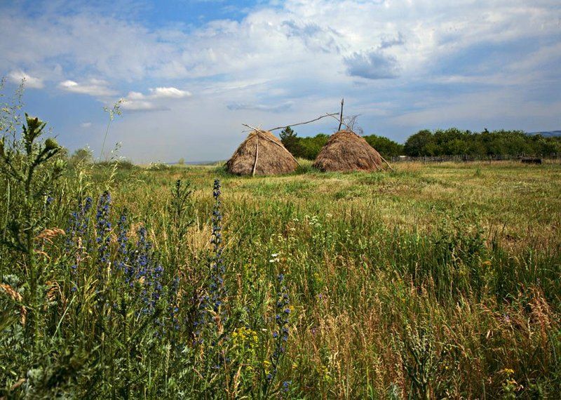 стог, лето, луг ***photo preview