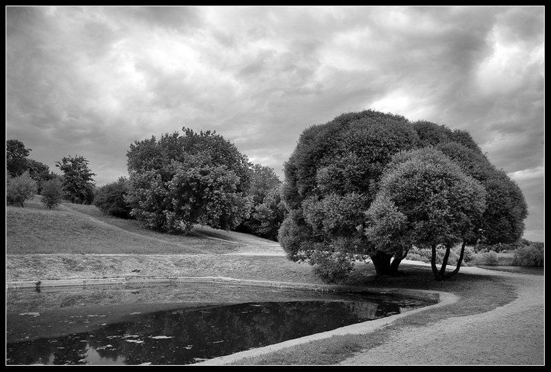 коломенское Печаль...photo preview