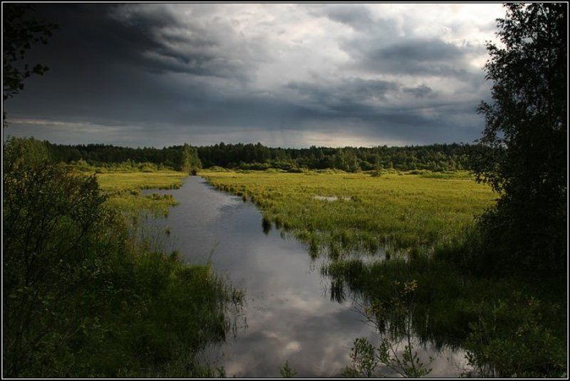 поле, болото, канава, вода, трава, лес, дерево, небо, облако, туча, свет, солнце, dyadyavasya Предгрозовой пейзажphoto preview