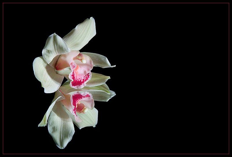 Про нарциссизмphoto preview