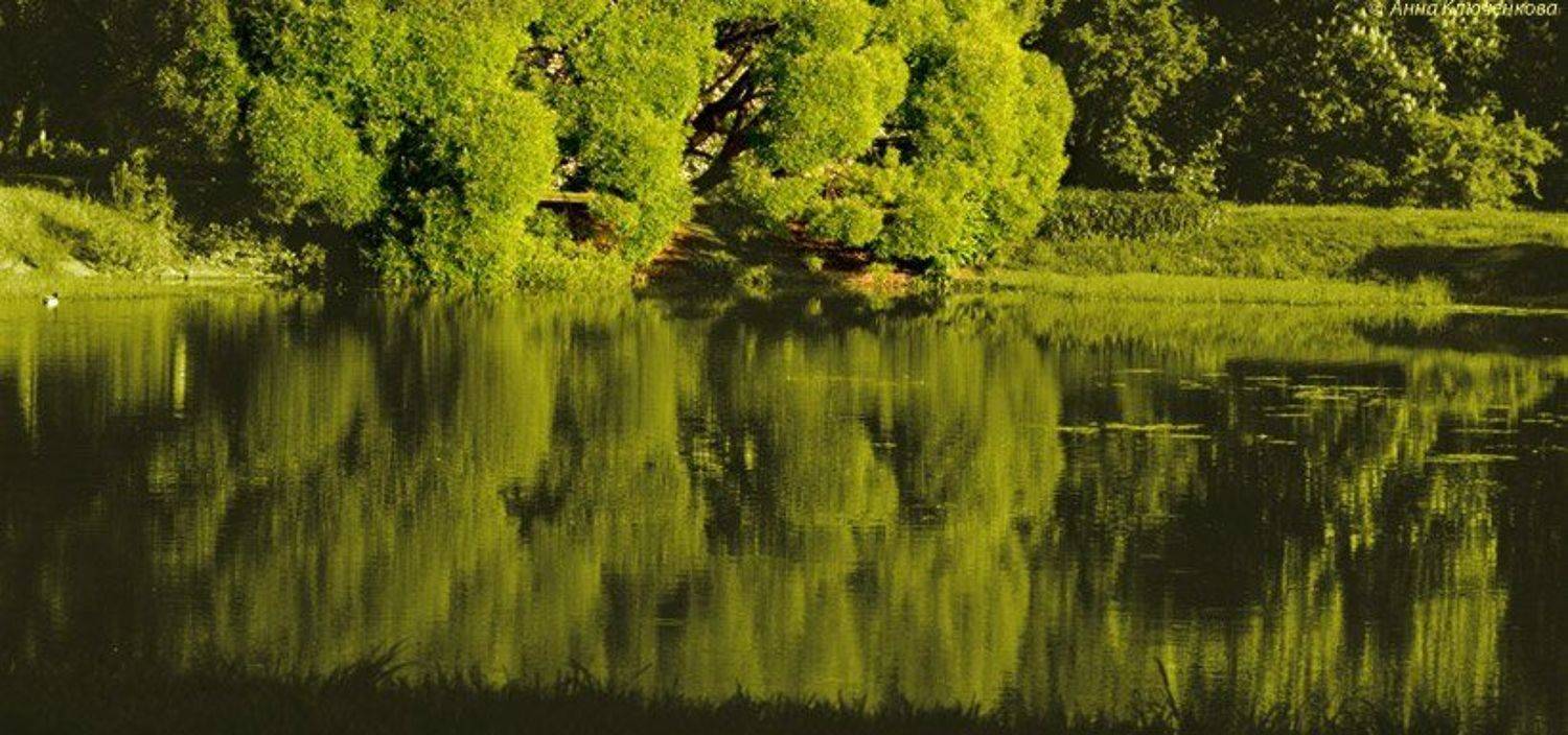 Зелёный Взрыв!. Автор: New_Game , New_Game