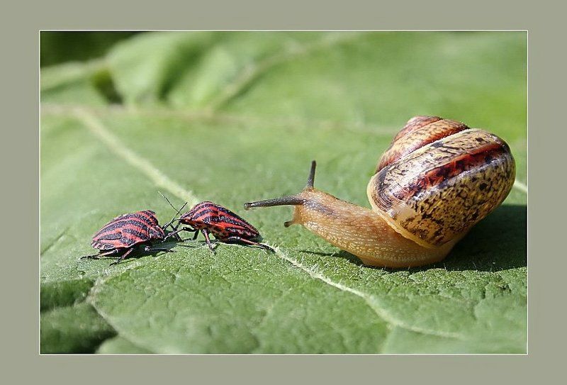 Моё такси! - Нет моё! фото превью