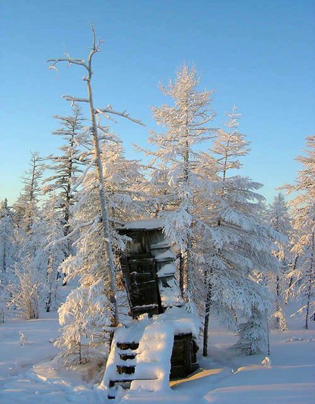 скворечник,якутия Таёжный сервисphoto preview
