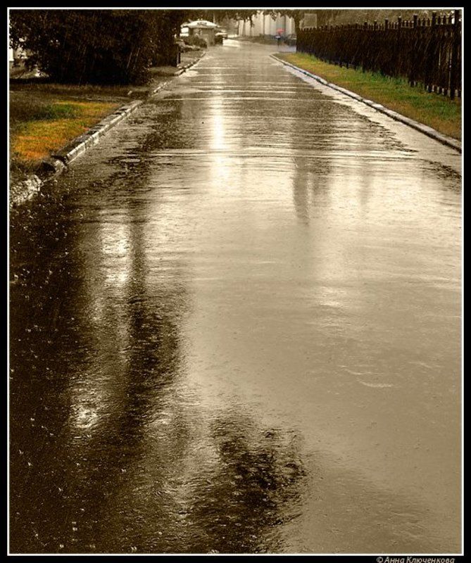 Дорожный цвет дождяphoto preview