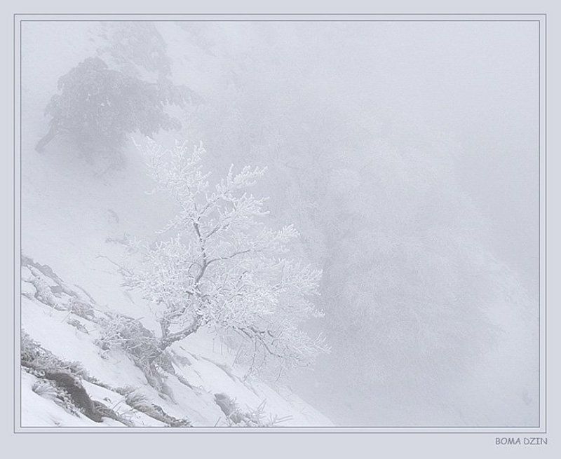 снег На карю сознанияphoto preview