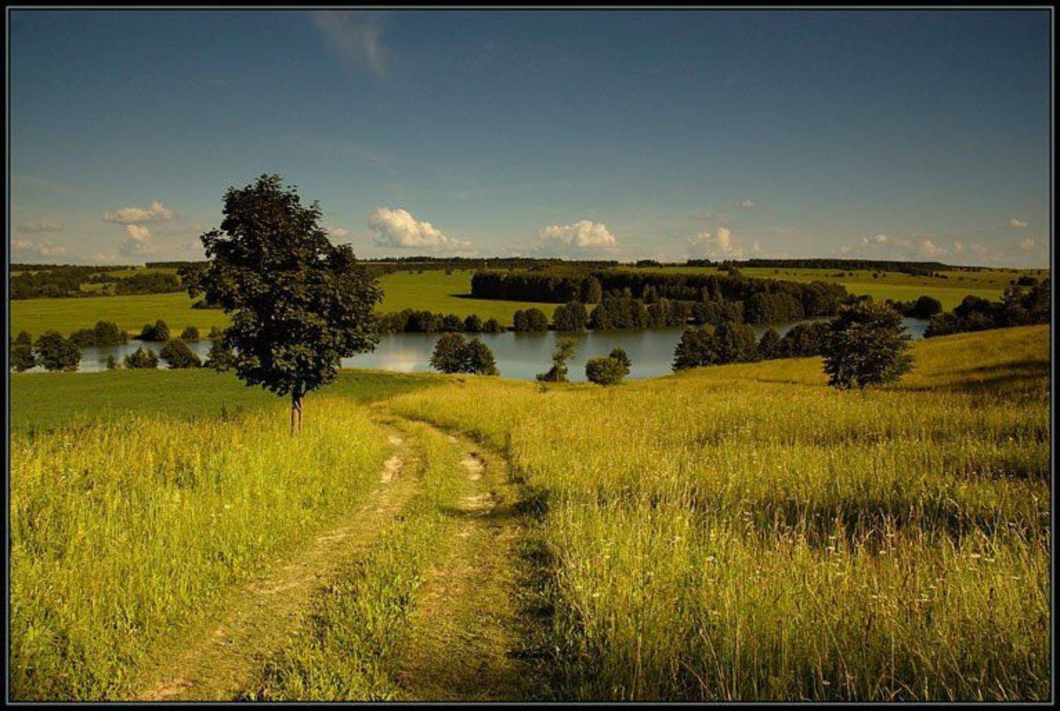 C отпуска вернулся. Автор: Капустин Николай лето, зелень, жара, Капустин Николай