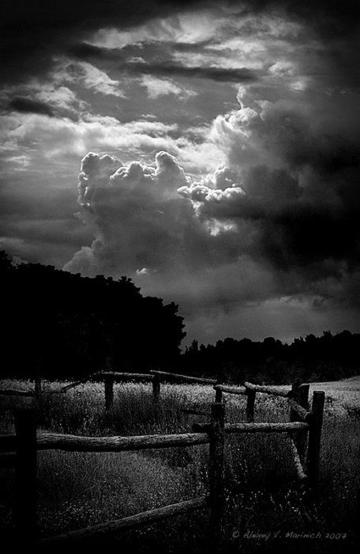 вечер, солнце, природа, пейзаж, чб, ч/б, киев, пирогово Вечер в Пироговоphoto preview