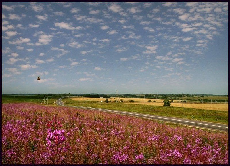 летоphoto preview