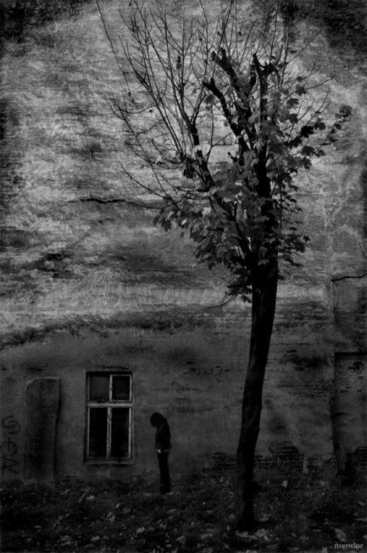 mendor Okstreephoto preview