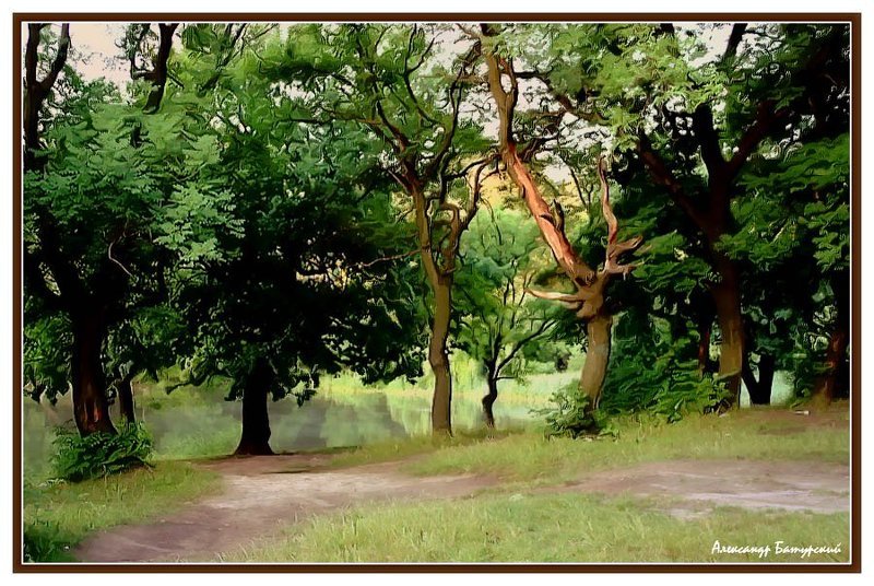 Зарисовки лесаphoto preview