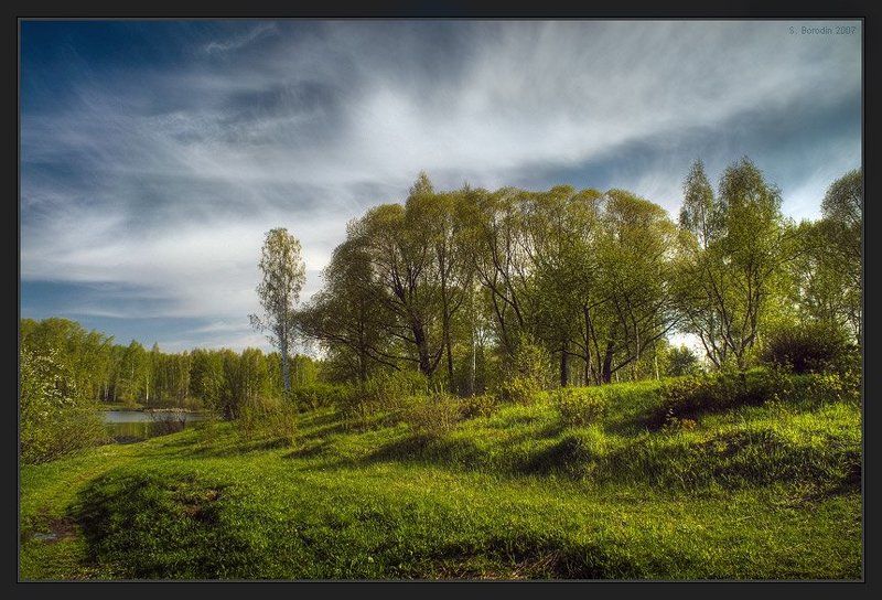 весна, солнце, молодая зелень, красивое небо Весенняя, солнечнаяphoto preview