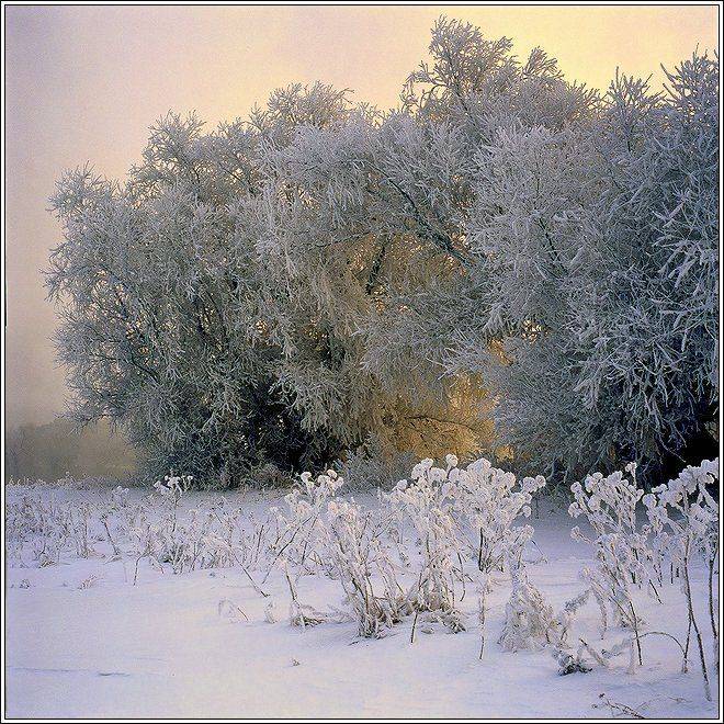 зима, туман, рассвет, Григорий Иващенко