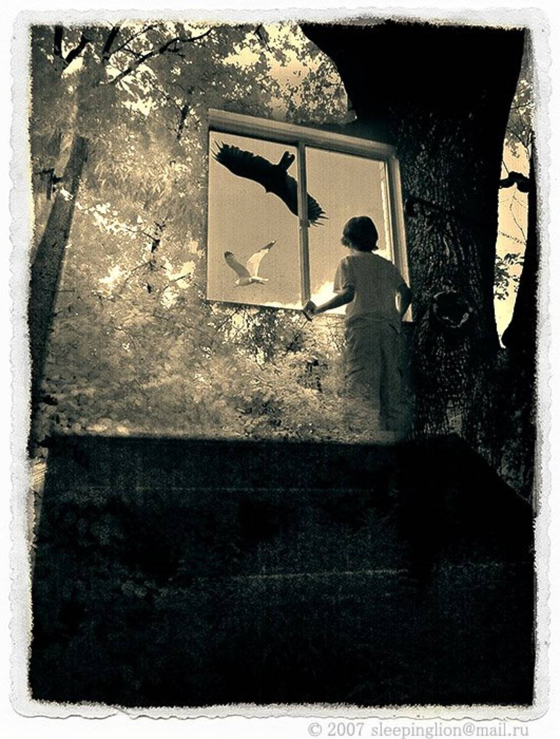 коллаж, монтаж, collage, montage, pilgrim, Pilgrim