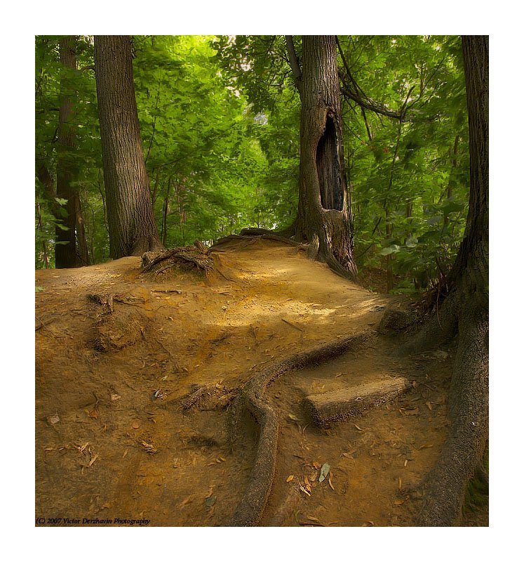 Сказки старого леса 2 (color edit)photo preview