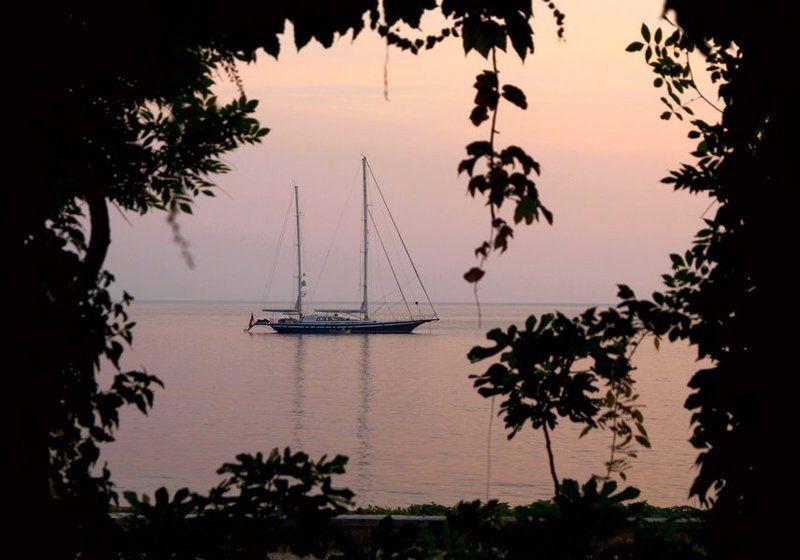 Мечта в розовых тонахphoto preview