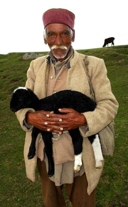 старик ягнёнок портрет жанр гималаи Это всё моё, родное!photo preview