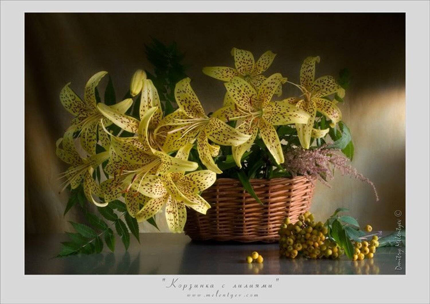 Корзинка с лилиями. Автор: Dmitry Melentyev цветы лилии букет натюрморт still life, Dmitry Melentyev